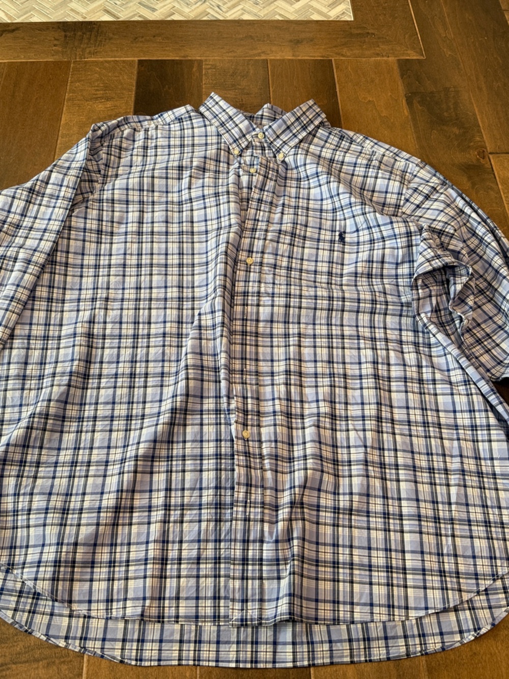 Polo by Ralph Lauren Blue and White Plaid Button-Up Shirt